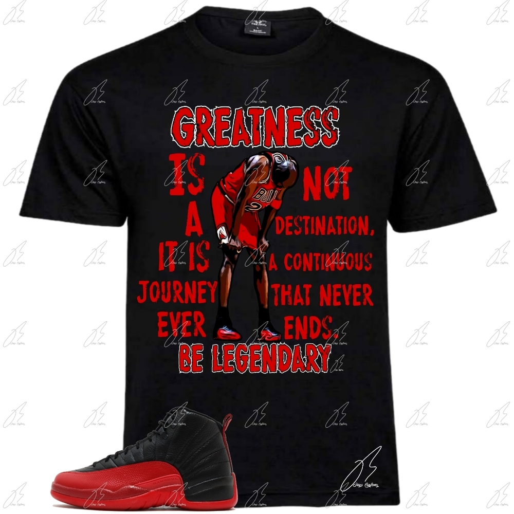 Jordan 12 Flu Game Matching Shirt, Unisex Graphic Tee, Best Gift, Red, MJ